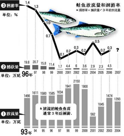 韩国鲑鱼洄游量大幅下降洄游率为0203